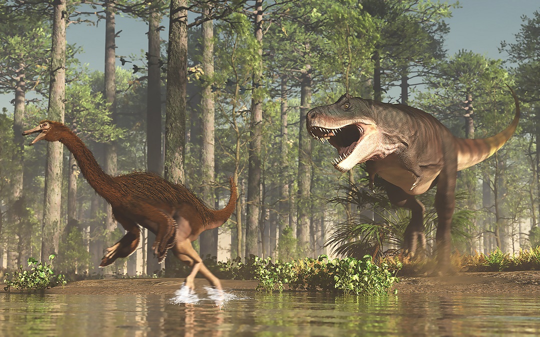 Ornithomimus Weight