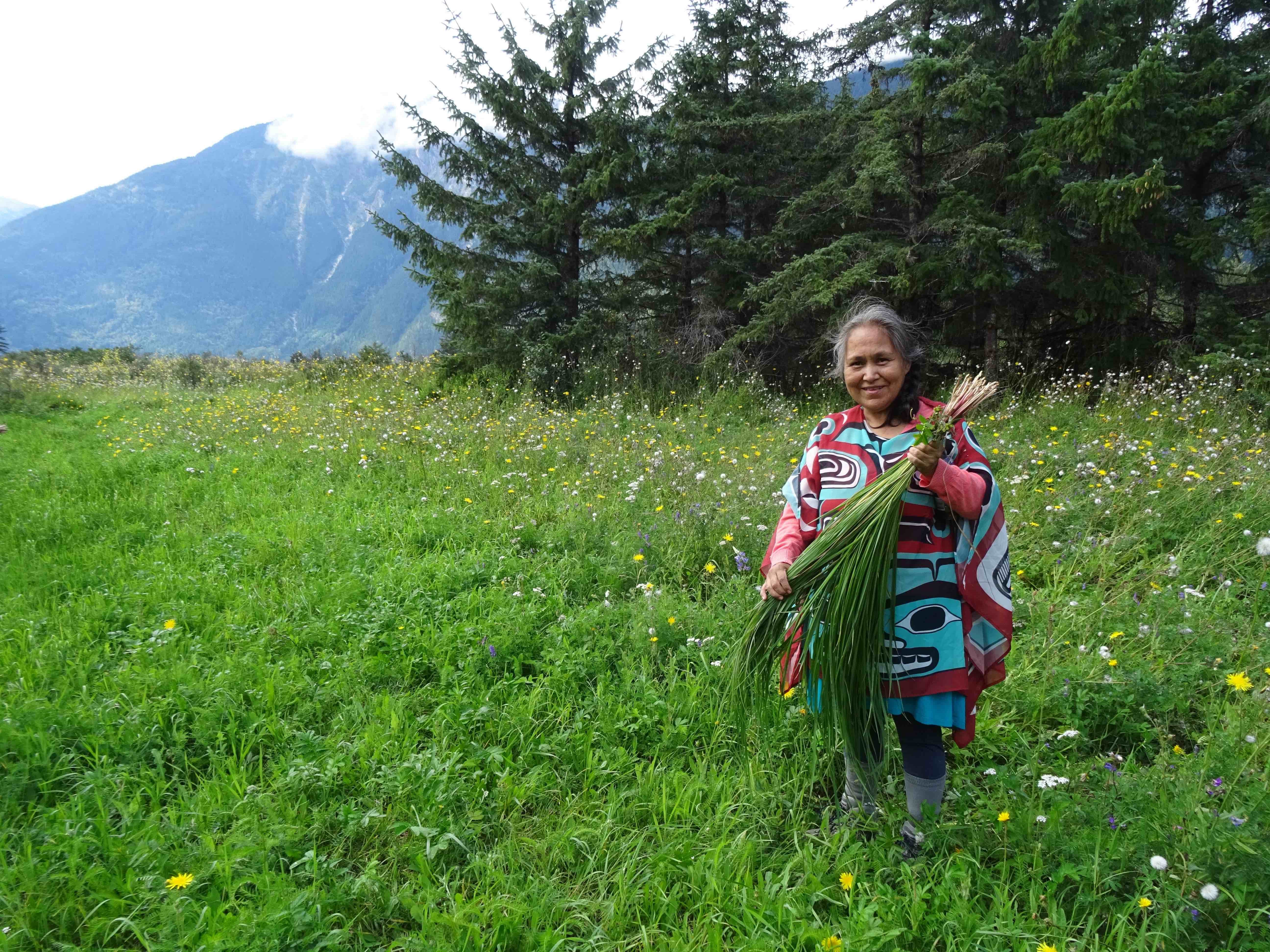 Sweetgrass - a historically important native grass for coastal conservation