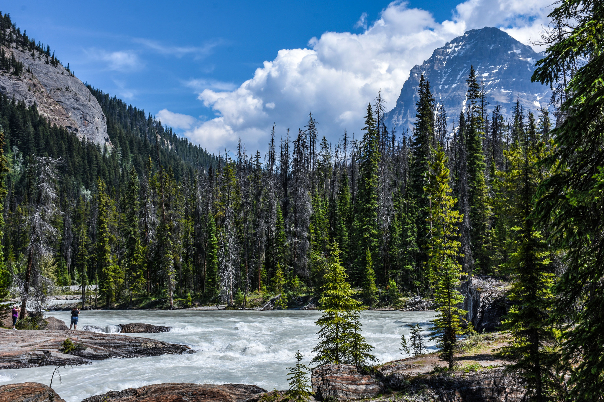 Yoho National Park is located in the Rocky Mountains, in the southeast corner of British Columbia.