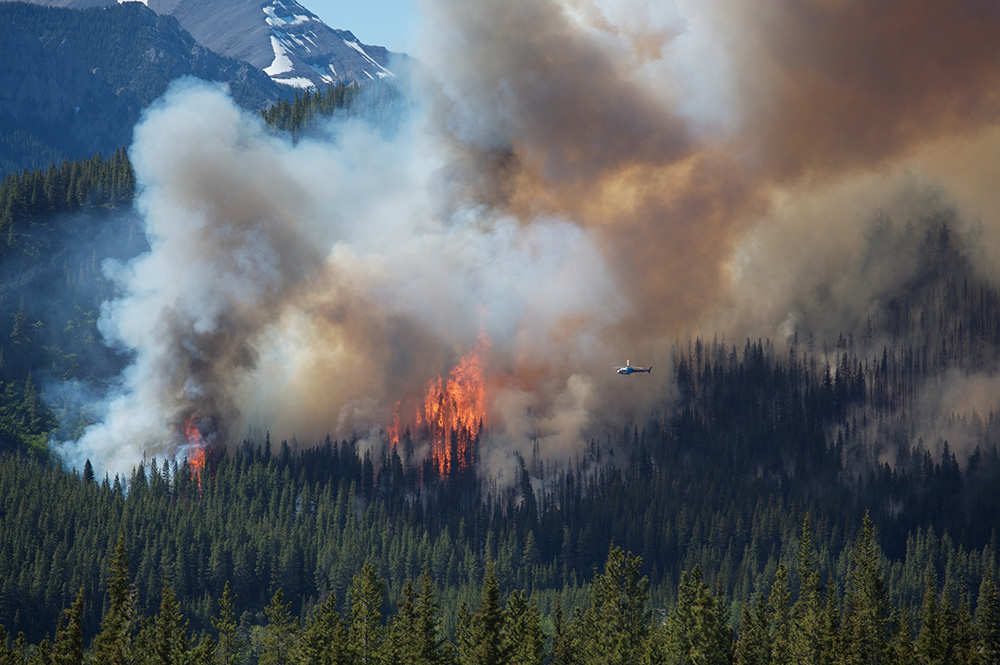 Feu de forêt