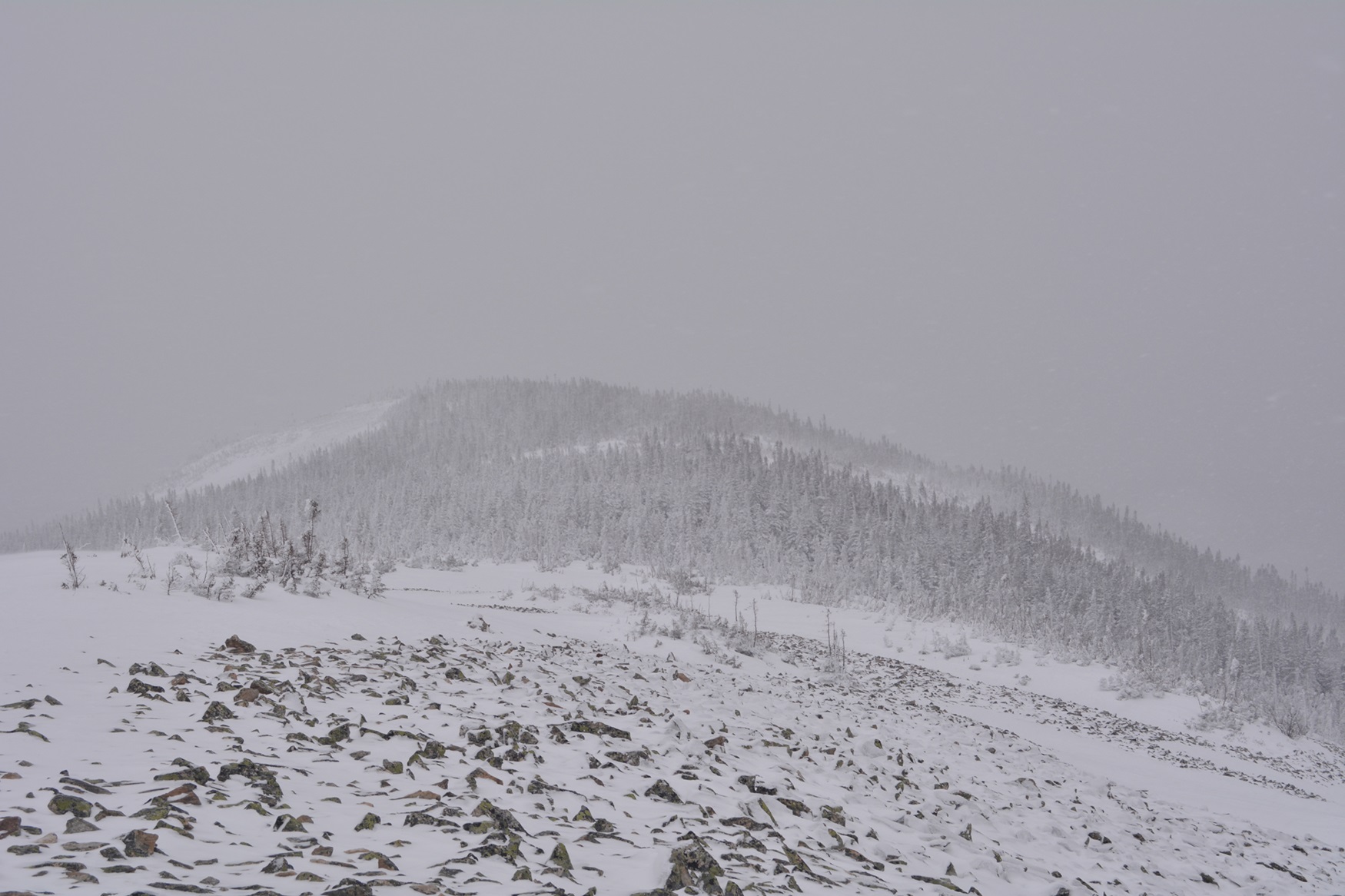 Le mont Hogsback en hiver Sommet enneigé.