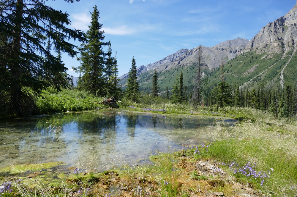 Nááts’įhch’oh National Park Water with mountains in the background