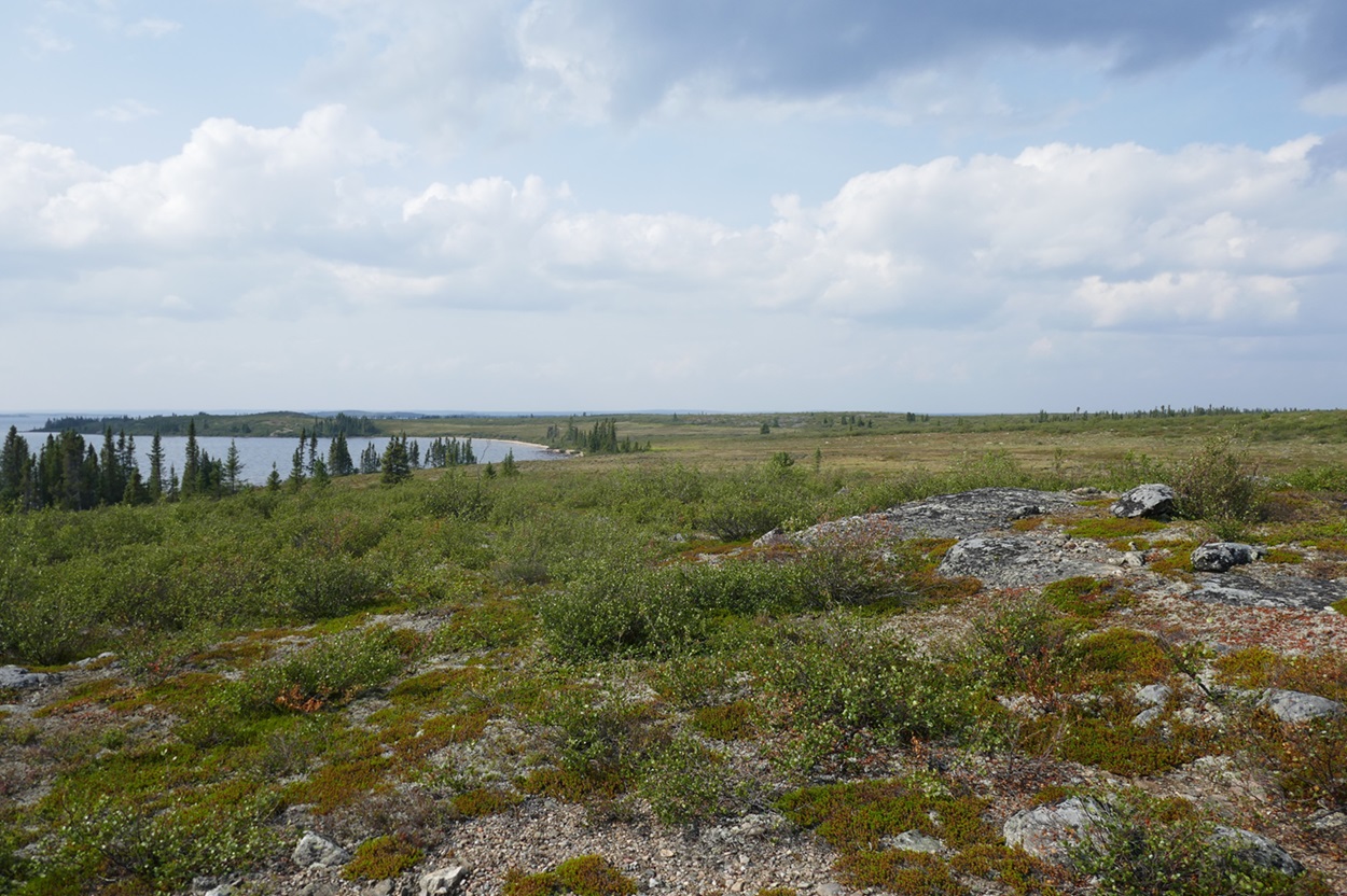 Paysage de toundra.