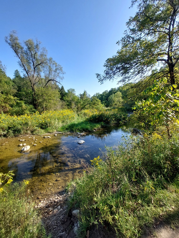 Parc urbain national de la Rouge Une rivière entourée d’arbustes et d’arbres.