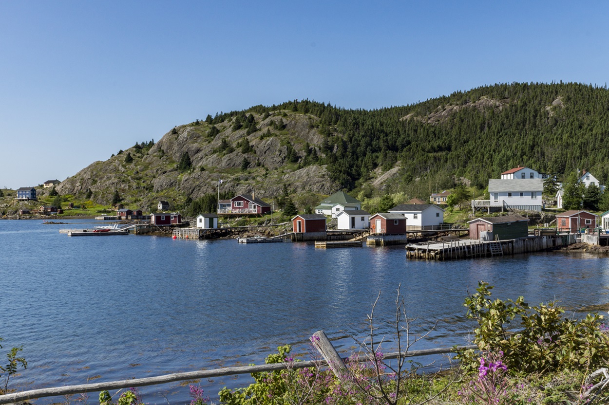 Notre Dame Bay Quaint bay in Newfoundland.
