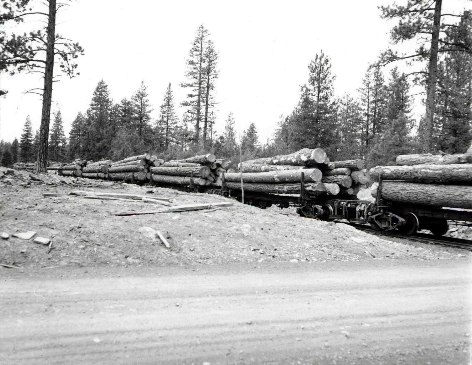 Historic Logging Logs on a train, black and white
