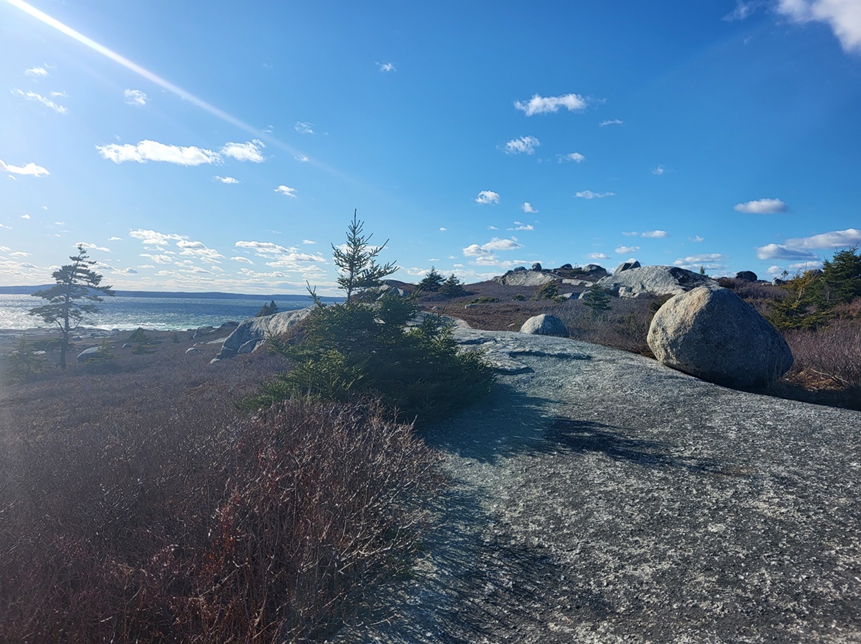 Landscape of shrubs and large granite rocks. Ocean shoreline in the distance.