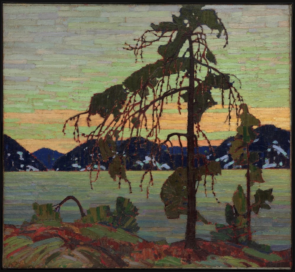 Jack Pine by Tom Thompson Artwork by Tom Thompson of a jack pine.