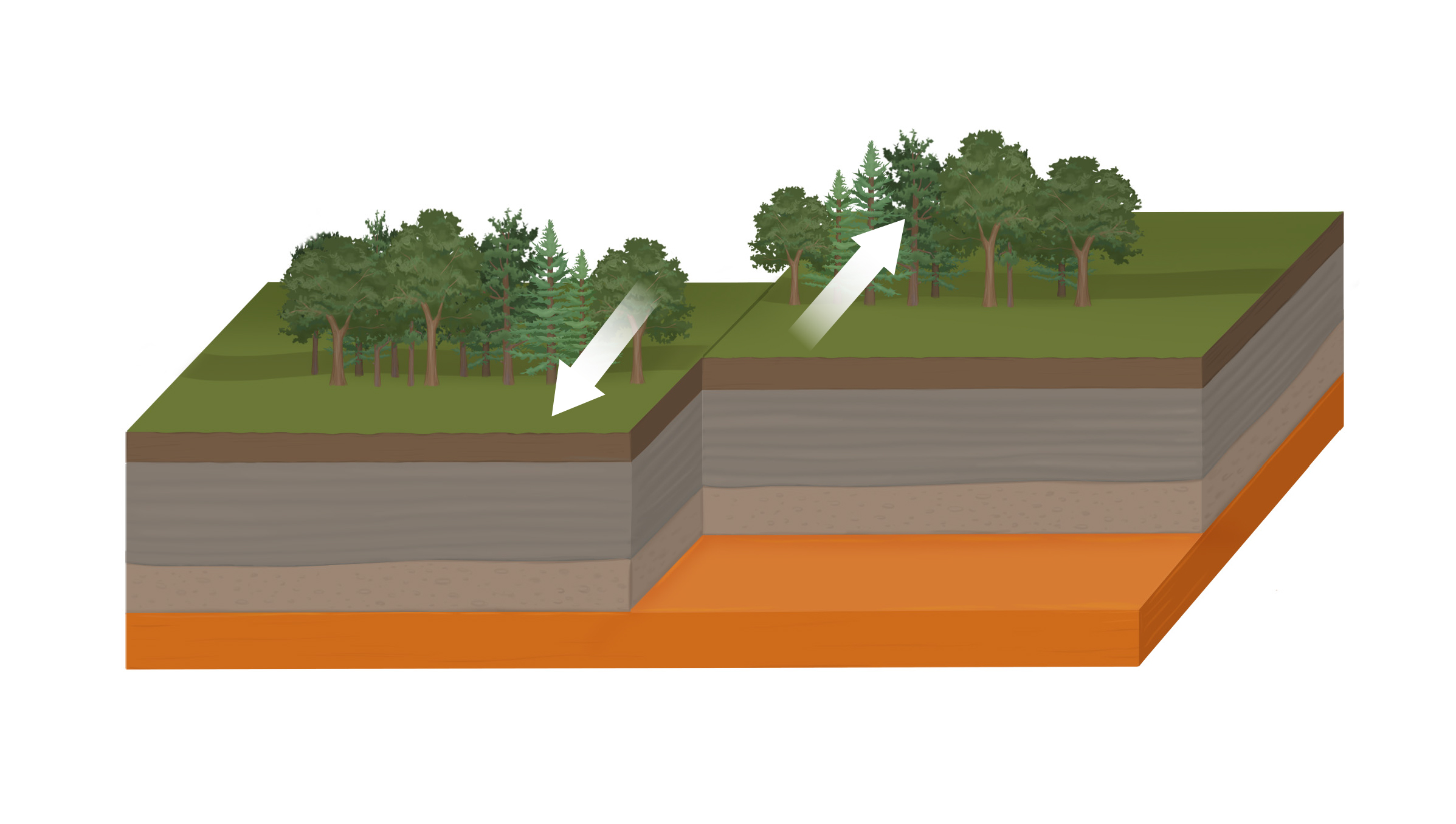 Transform Fault Boundaries