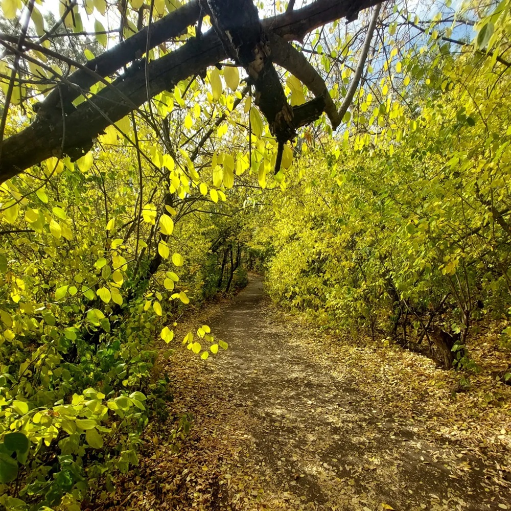 Meewasin Trail