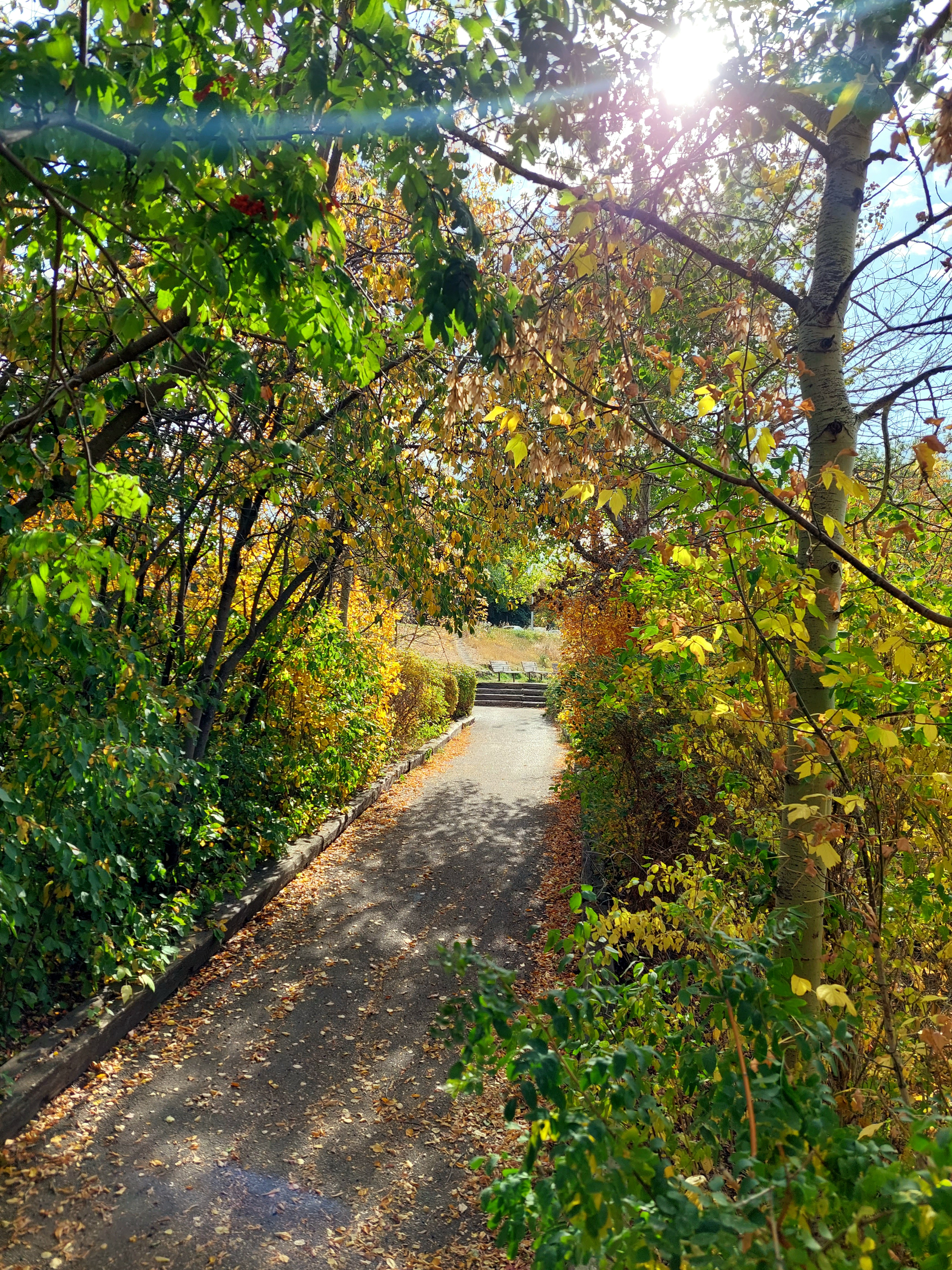 Meewasin Trail