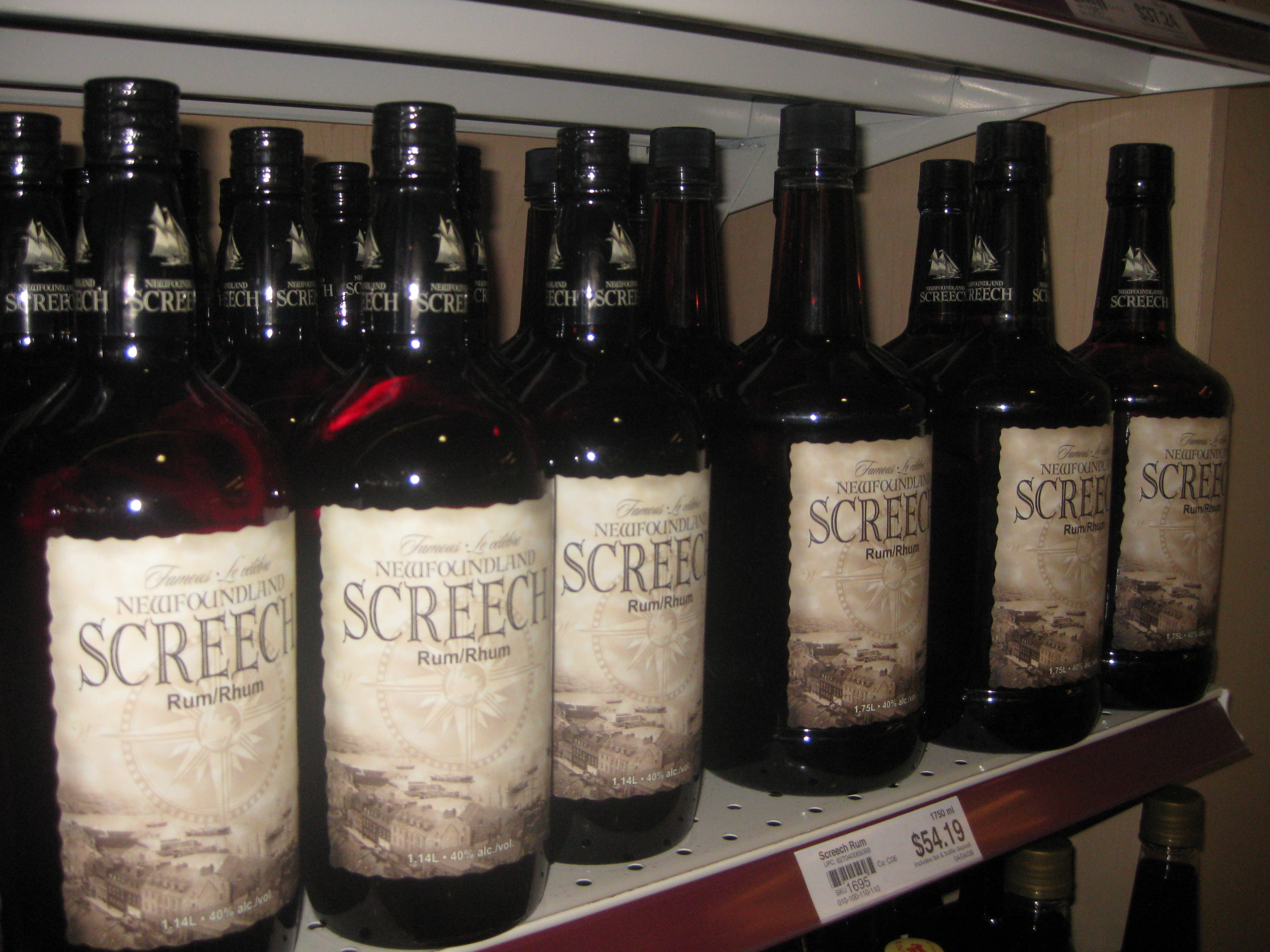 Screech de Terre-Neuve, sur les étagères (le 17 août 2009)