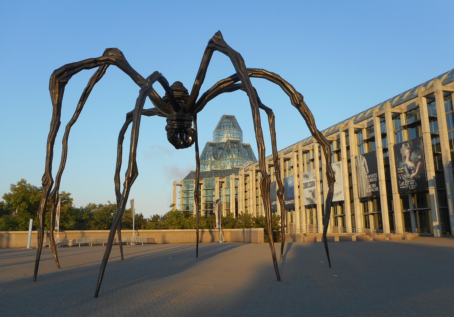 <p><em>Maman</em> Statue</p> Large black spider statue.