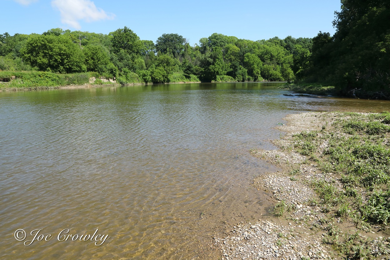 Spiny Softshell Habitat River with a soft, sandy bottom.