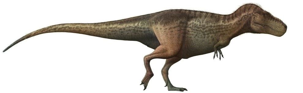 <p>Illustration of<em> T. rex</em></p> Colour illustration of T. rex
