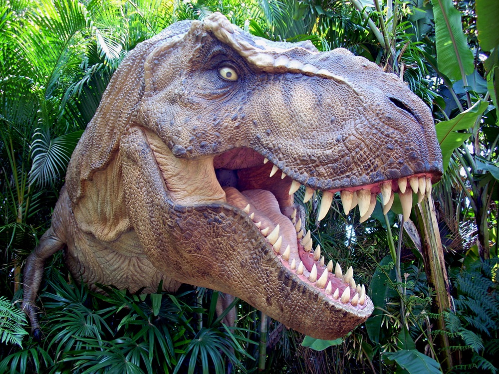 <p><em>T. rex</em> at Universal Studios</p> Reconstruction of a T. rex head.